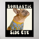 Suche nach sarcastic poster Sprichwort