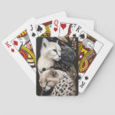 Suche nach jaguar spielkarten Katzen