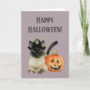 Suche nach halloween karten Katzen