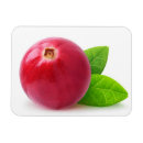 Suche nach rosa beere magnete Beeren