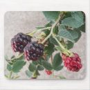 Suche nach reif mousepads Beere