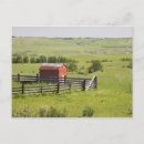 Suche nach weideland poster Bauernhof