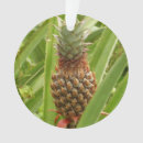Suche nach frucht ornamente Grün