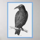 Suche nach john gould poster Vögel