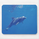 Suche nach lebensraum mousepads Meer
