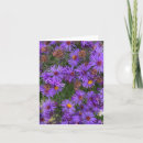 Suche nach lila karten Blüten