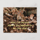 Suche nach chipmunks einladungen Mädchen