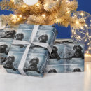 Suche nach labrador geschenkpapier Retriefe