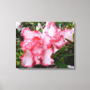 Suche nach azalee leinwandbilder Weiß