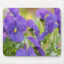 Suche nach panik mousepads Blume