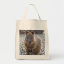 Suche nach beuteltier Quokka