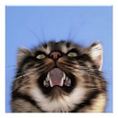 Suche nach acrylmalerei poster Künstlerisch