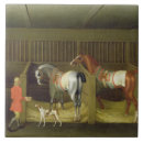 Suche nach stall fliesen Pferde