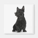 Suche nach scottish terrier magnete Tiere