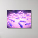 Suche nach medizin leinwandbilder Mikroskopisch