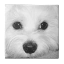 Suche nach große augen fliesen Hund