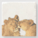 Suche nach löwen untersetzer Afrika