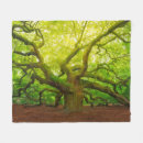 Suche nach engel decken Natur