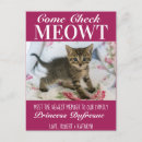 Suche nach neue katze postkarten Lustig
