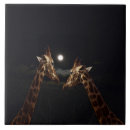 Suche nach giraffe fliesen Tierwelt