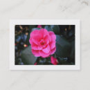 Suche nach rosa kamelie Modern