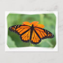 Suche nach monarch postkarten Sommer