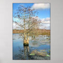 Suche nach unter den bäumen poster Fotografie