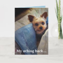 Suche nach seidig karten Terrier