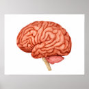 Suche nach seitenansicht poster Kommunikation