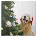 Suche nach weihnachtsbaum fliesen Niedlich