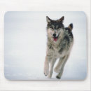 Suche nach wolf grau mousepads Natur