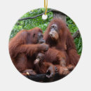 Suche nach zoo ornamente Familie