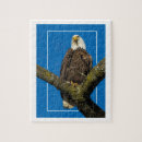 Suche nach adler puzzle Tierwelt