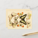 Suche nach vintage schmetterlinge postkarten Schmetterlingskarten