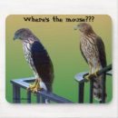 Suche nach falke mousepads Raubvögel