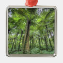 Suche nach bali ornamente Reise