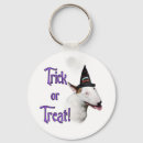 Suche nach trick accessoires Kaninchen