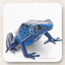 Suche nach amphibie untersetzer Reptilien