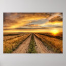 Suche nach landstraße poster Sonnenuntergang