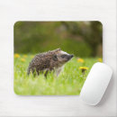 Suche nach niedlicher igel mousepads Tiere