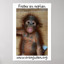 Suche nach orang utan poster Großer affe