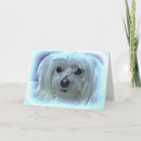 Suche nach haustierbeileidskarten Bridge