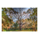 Suche nach walnuss poster Natur