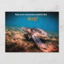 Suche nach schildkröte foto postkarten Tierwelt