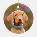 Suche nach vizsla ornamente Dog
