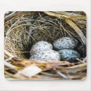 Suche nach kardinal vogel mousepads Tiere