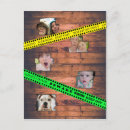 Suche nach gefangene postkarten Halloween