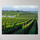 Suche nach napa poster Weingut
