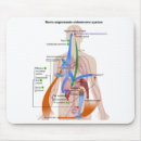 Suche nach system mousepads Diagramm