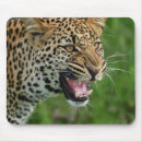 Suche nach wild lebende tiere mousepads Leopard